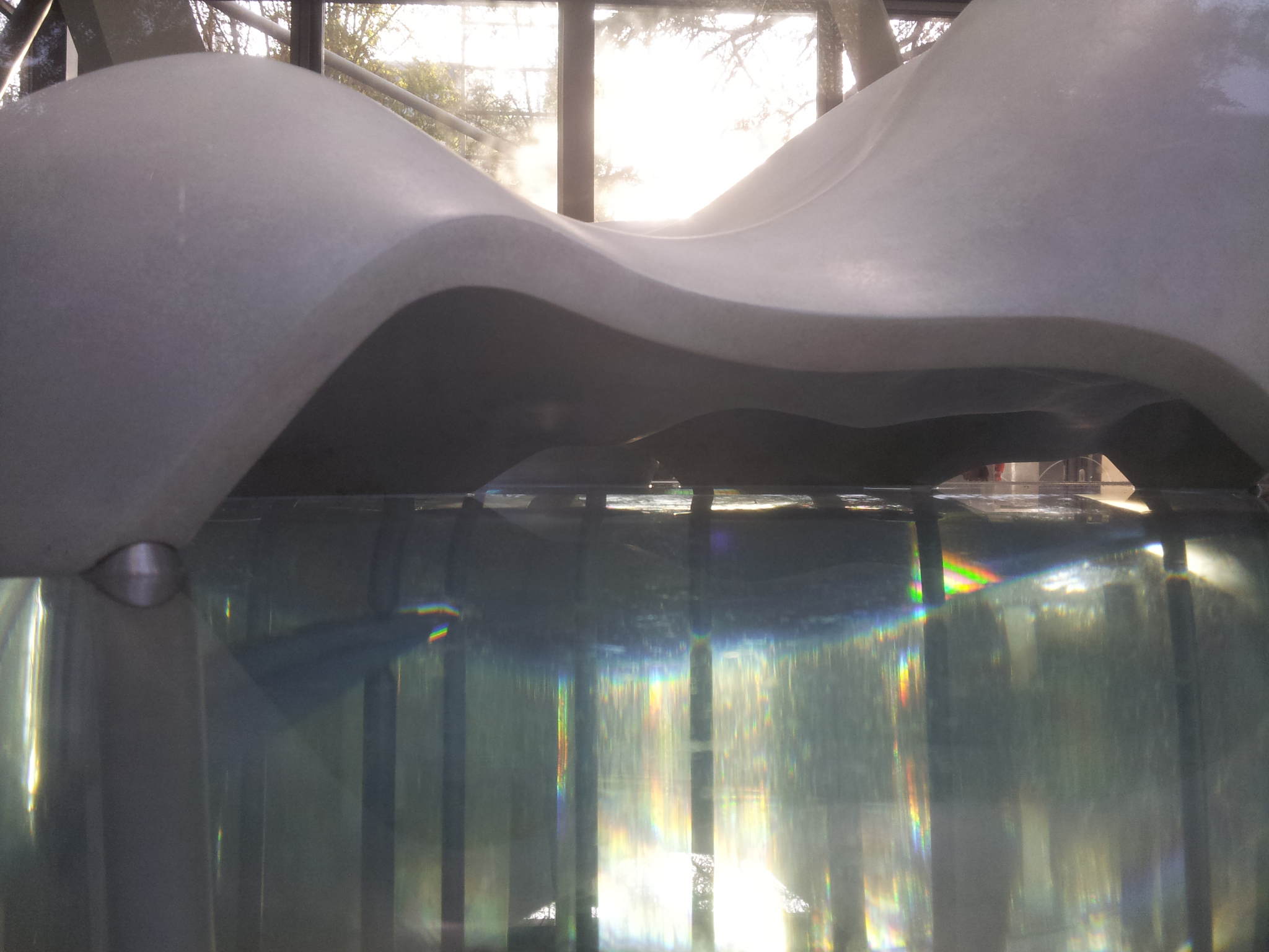 Junya Ishigami, Freeing Architecture