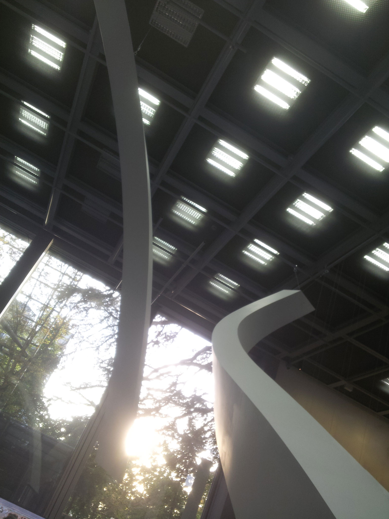 Junya-Ishigami-Freeing-Architecture-10